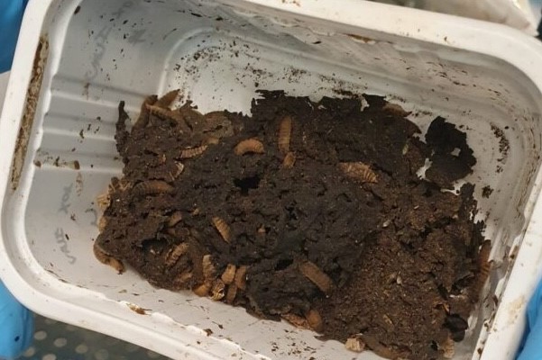 Державна установа «Методично-технологічний центр з аквакультури»
