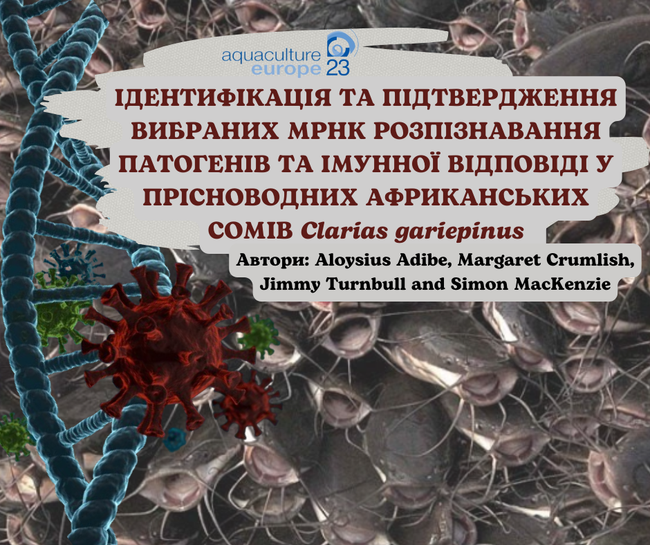 Державна установа «Методично-технологічний центр з аквакультури»