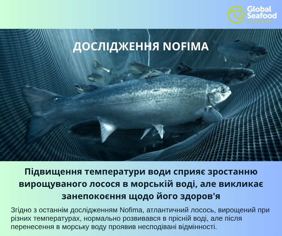 Державна установа «Методично-технологічний центр з аквакультури»