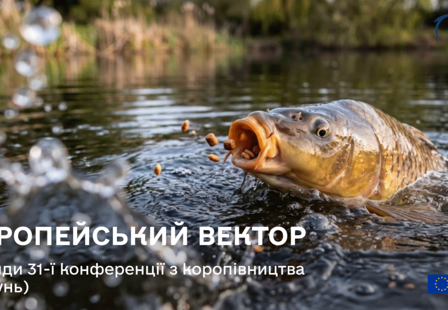Європейський вектор. Інсайди 31-ої конференції з коропівництва