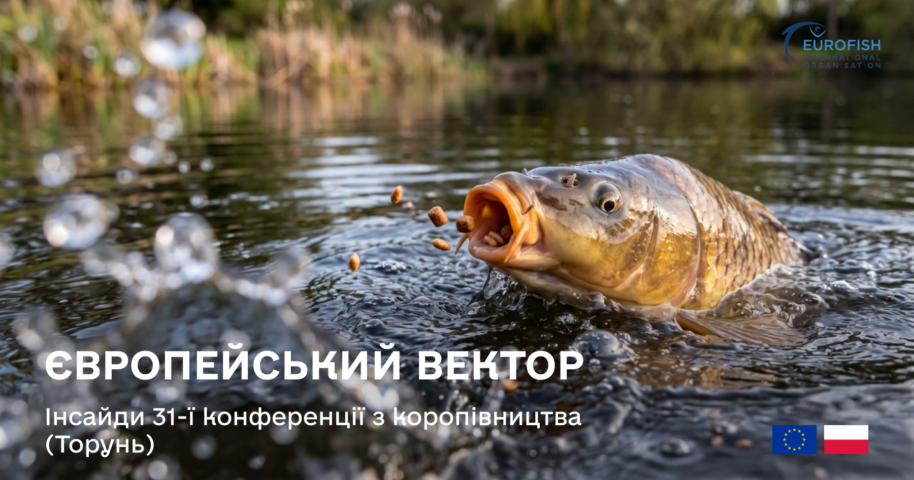 Державна установа «Методично-технологічний центр з аквакультури»
