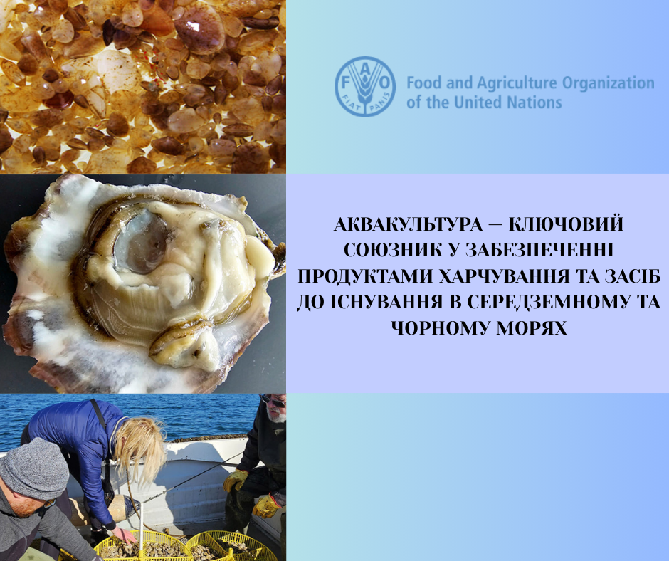 Державна установа «Методично-технологічний центр з аквакультури»