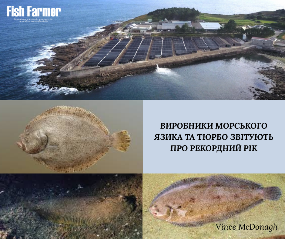 Державна установа «Методично-технологічний центр з аквакультури»