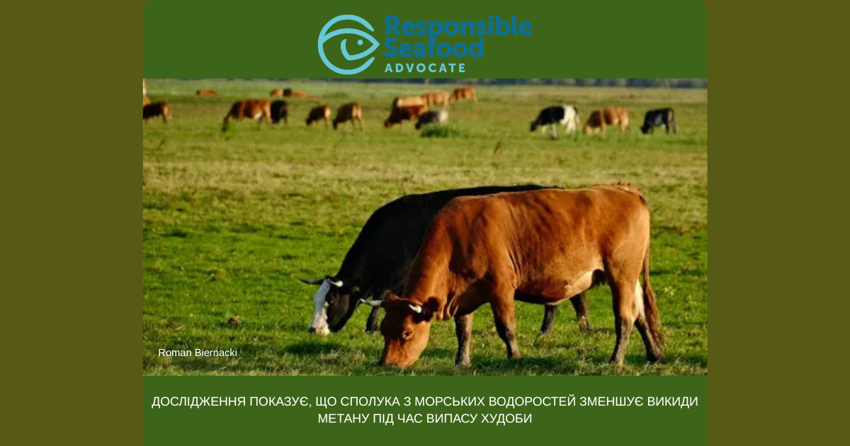 Державна установа «Методично-технологічний центр з аквакультури»