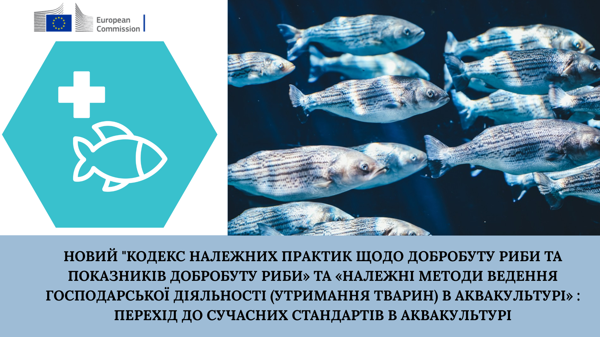 Державна установа «Методично-технологічний центр з аквакультури»