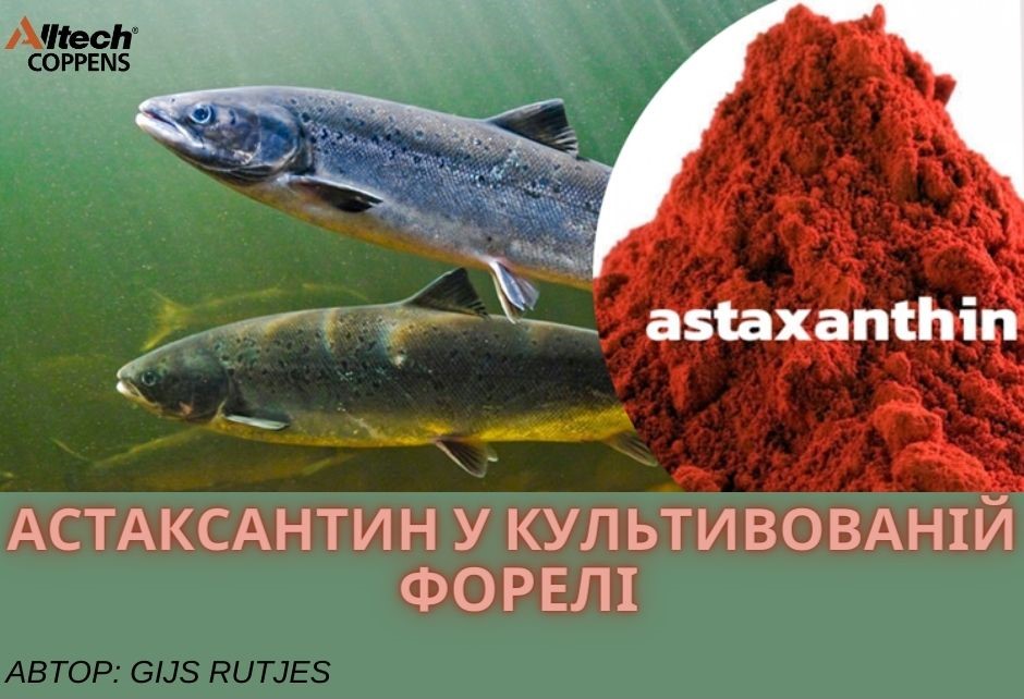 Державна установа «Методично-технологічний центр з аквакультури»