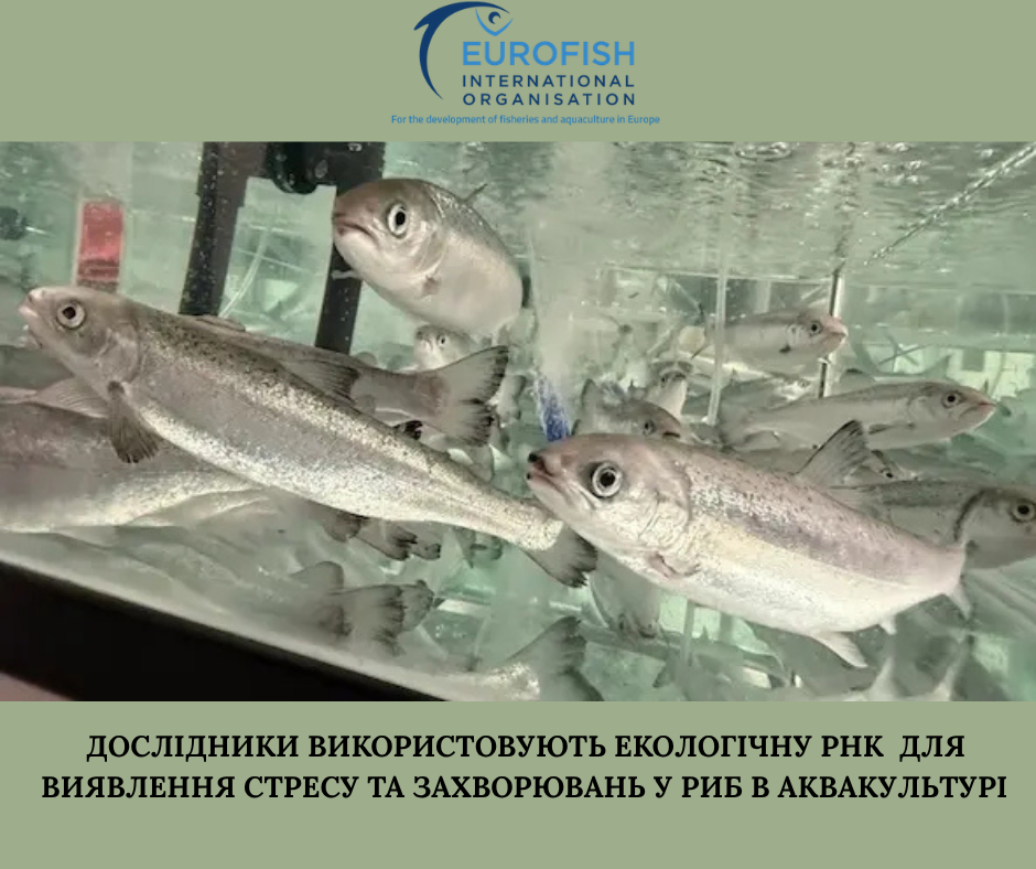 Державна установа «Методично-технологічний центр з аквакультури»