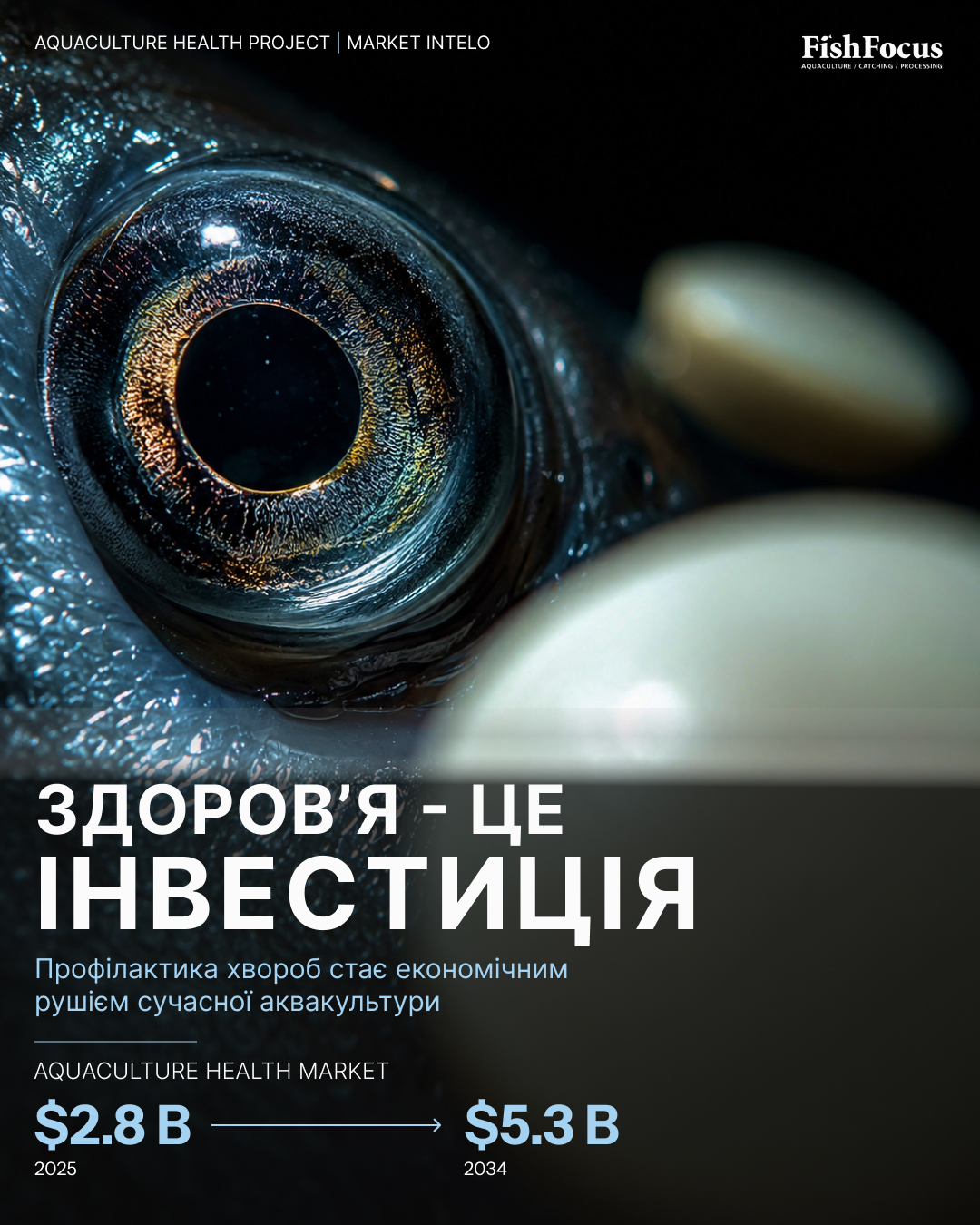 Державна установа «Методично-технологічний центр з аквакультури»