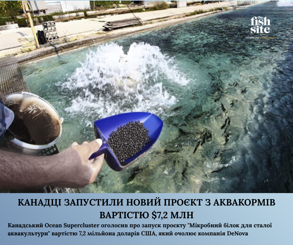 Державна установа «Методично-технологічний центр з аквакультури»