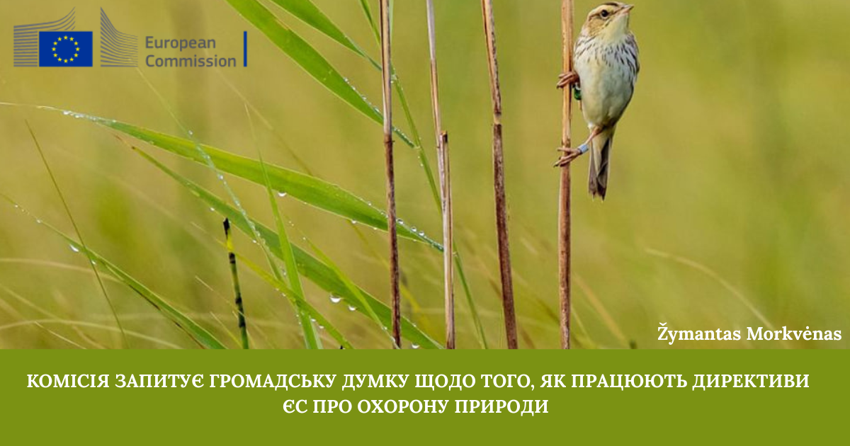 Державна установа «Методично-технологічний центр з аквакультури»