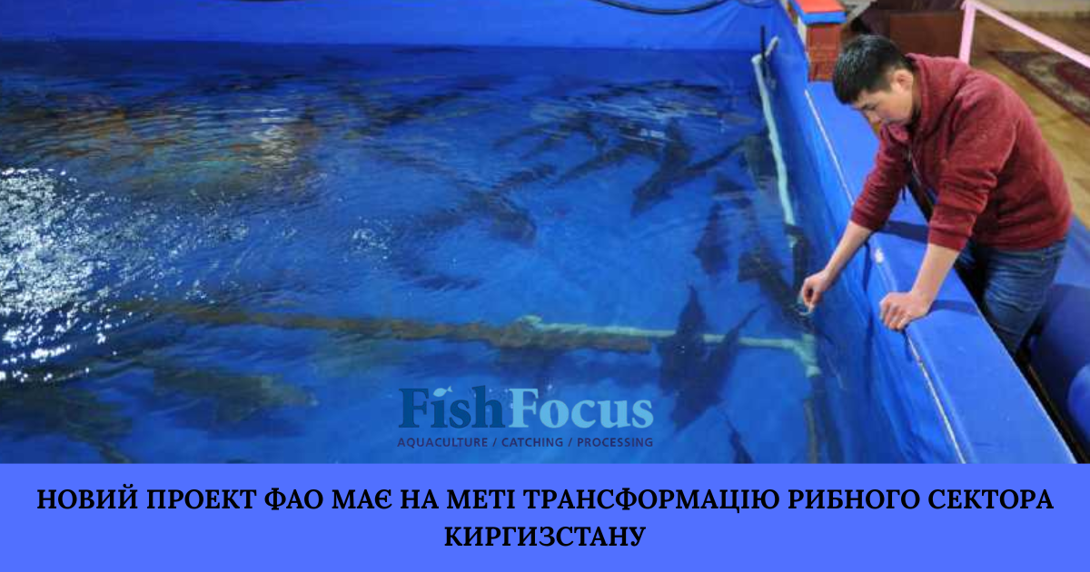 Державна установа «Методично-технологічний центр з аквакультури»