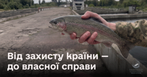 Від захисту країни - до власної справи