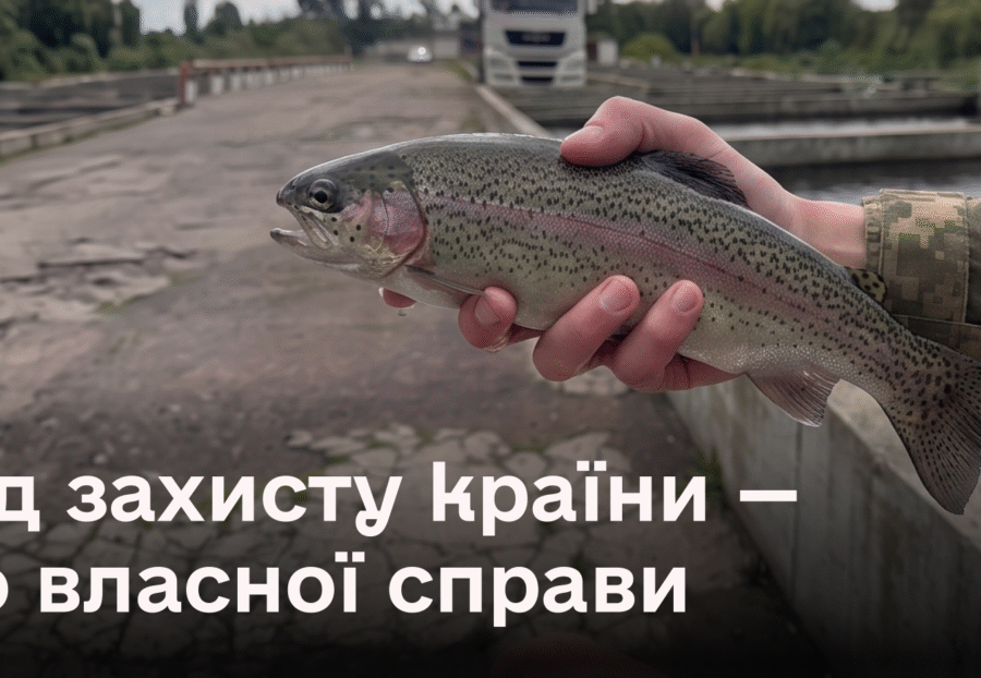 Від захисту країни - до власної справи