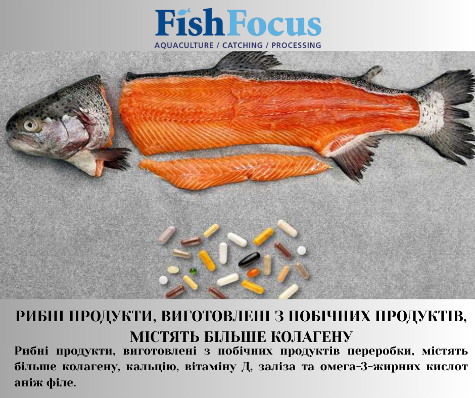 Державна установа «Методично-технологічний центр з аквакультури»