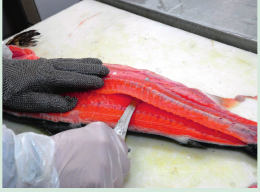 Державна установа «Методично-технологічний центр з аквакультури»