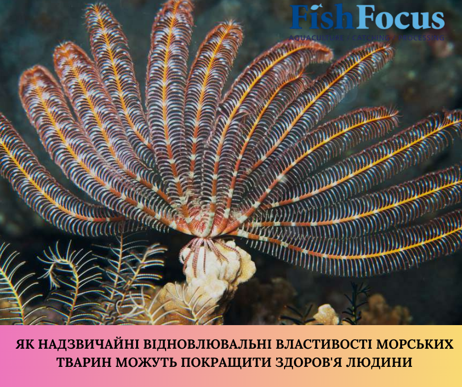 Державна установа «Методично-технологічний центр з аквакультури»